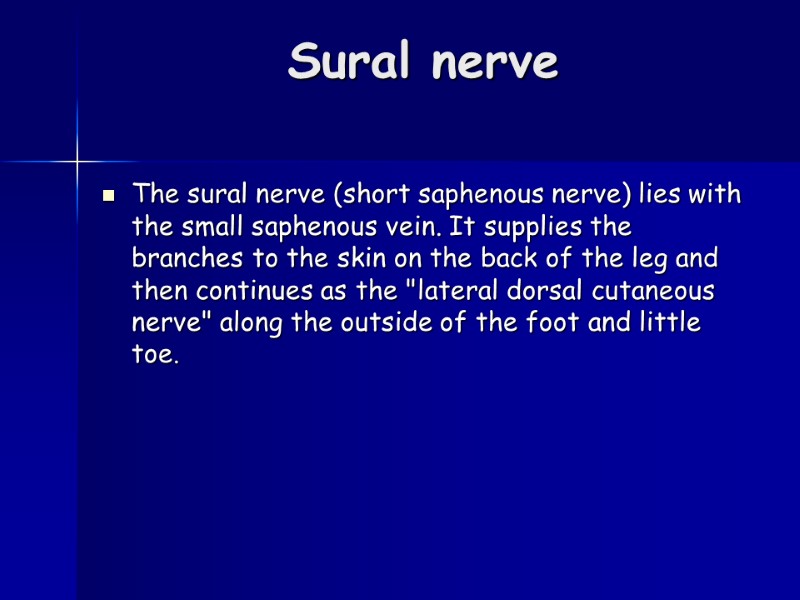Sural nerve  The sural nerve (short saphenous nerve) lies with the small saphenous